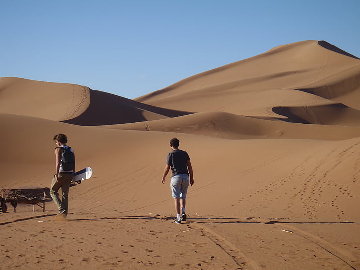 öken, Sahara, Dune, Marocko, sand boarding
