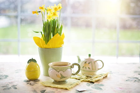 daffodils, tea, tea time, cup of tea, spring, yellow flowers, plant