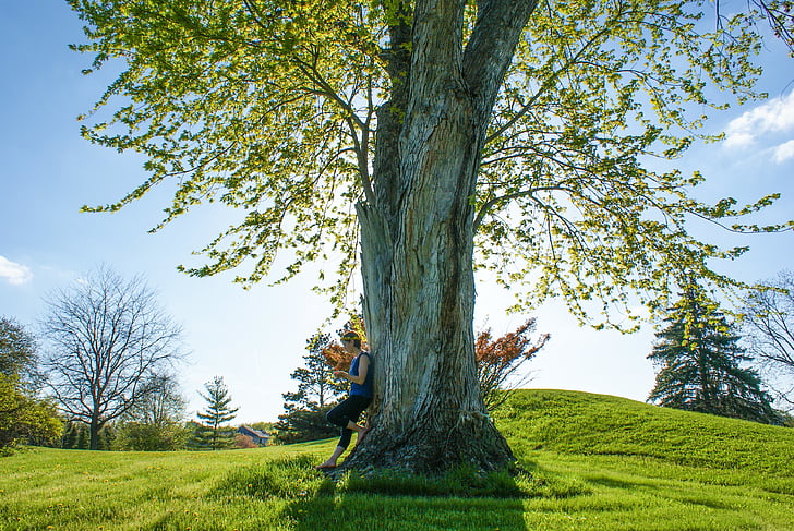 Kavkazská, Žena, Flora, Příroda, osoba, strom, Žena