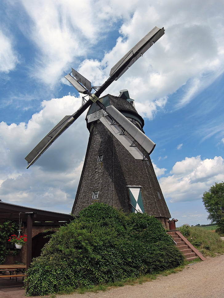 windmill, donsbrüggen, farm, windpower, rural, field, homestead