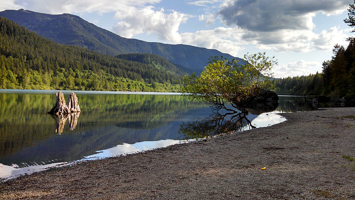 csörgőkígyó-tó, North bend, Washington, hegyek, partra, Driftwood, környezet