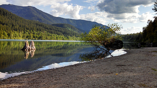 Chřestýš jezero, North bend, Washington, hory, na břehu, naplavené dříví, prostředí