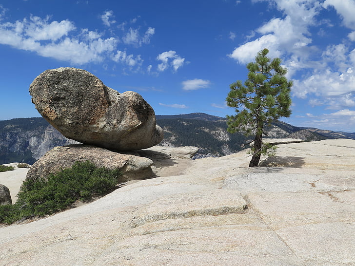 Mountain, Pine, landskap, Rock