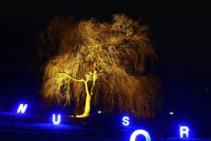 Вестфалия парк, Зимни светлини 2013, нощ снимка