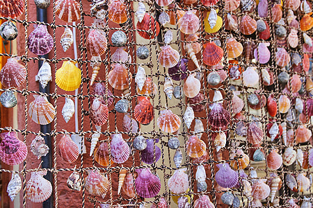 mussels, shells, ornament, backgrounds, pattern, decoration