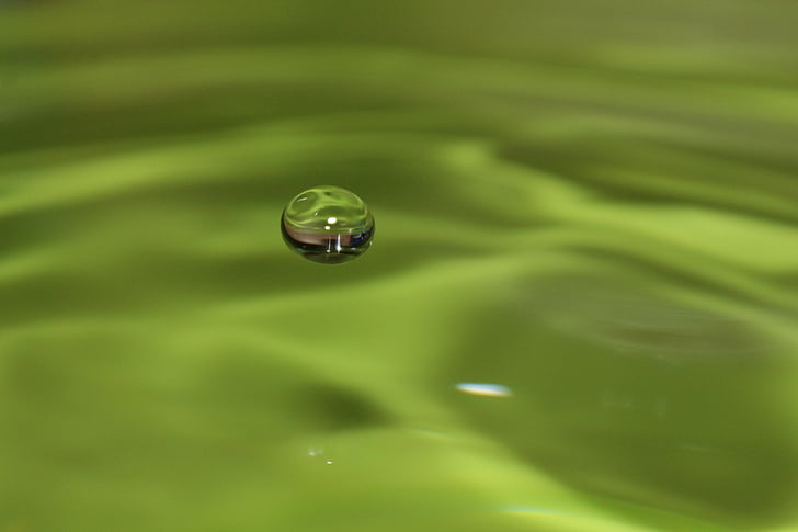 drip, liquid, green, water