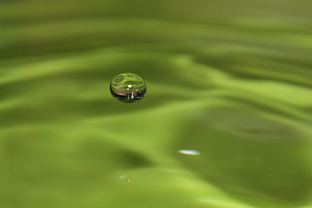 gotejamento, líquido, verde, água
