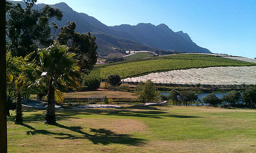 grand hotel, hotel, south africa, winelands, lake, outlook, hotel complex