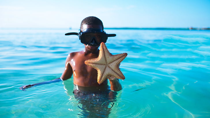 boy, wearing, black, snorkling, goggles, holding, starfish