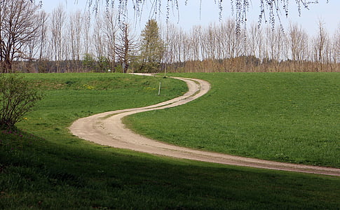 ścieżka dydaktyczna, łąka, od, wahadłowe, piesze wycieczki, pieszo, Szlak