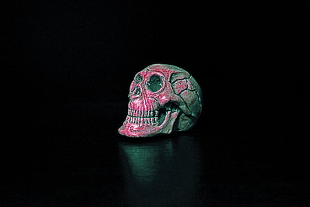 death, skull, paperweight, memento, halloween, gadget, terrible