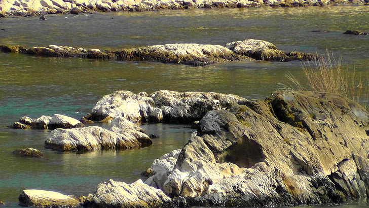 rock, rhine, river, st goar, stein am rhein, water, low tide