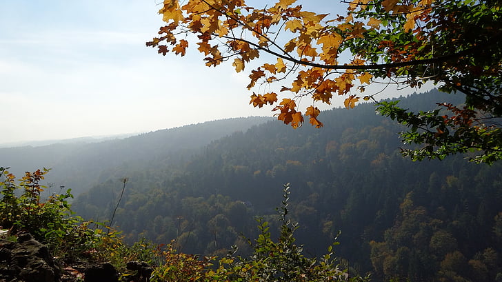 основателите, Полша, Национален парк, пейзаж, природата, Есен