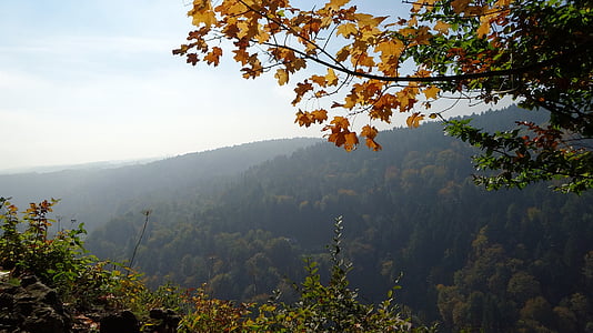 ojcowie-założyciele, Polska, park narodowy, krajobraz, Natura, jesień