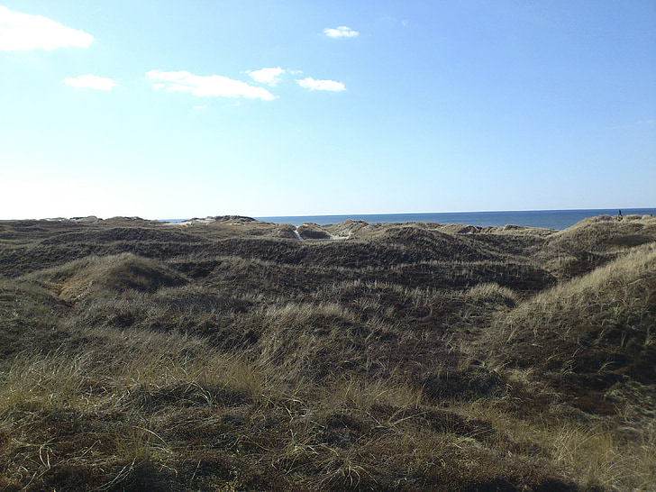 hill, dunes, green