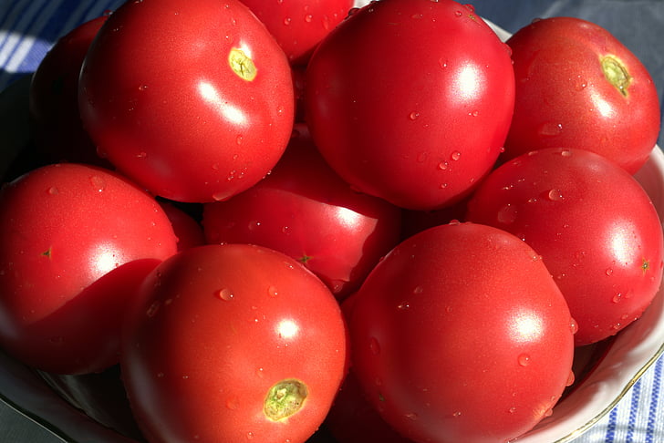 tomate, vermelho, maduras, suculento, saudável, dieta, um vegetal