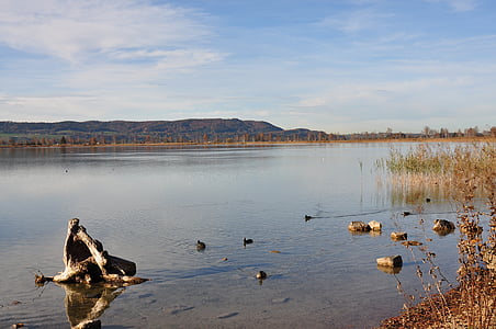 kochelsee, landskap, Panorama