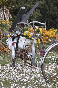 velosipēds, ziedi, dārza