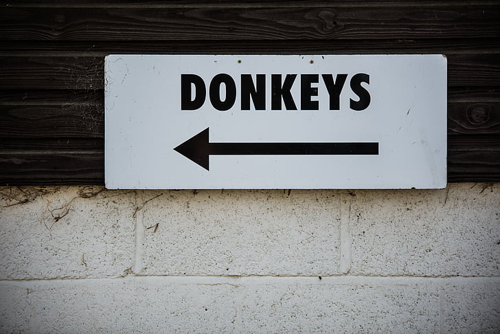 wall, sign, donkeys, ente