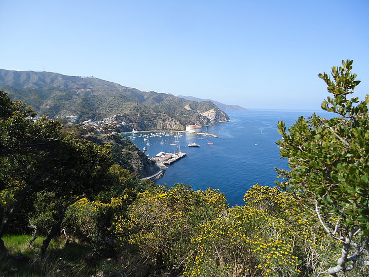 Catalina, California, Bahía