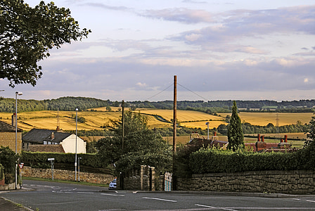 campos, campos de cereales, fuera de la ciudad, elmsal del sur, Inglaterra, Reino Unido