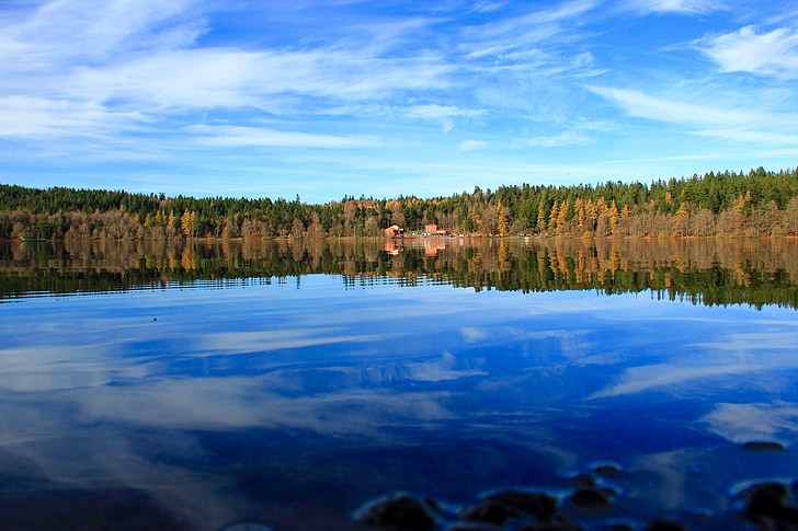 Lake, Metsä, Luonto, vesi, Reflections, maisema, lehdet