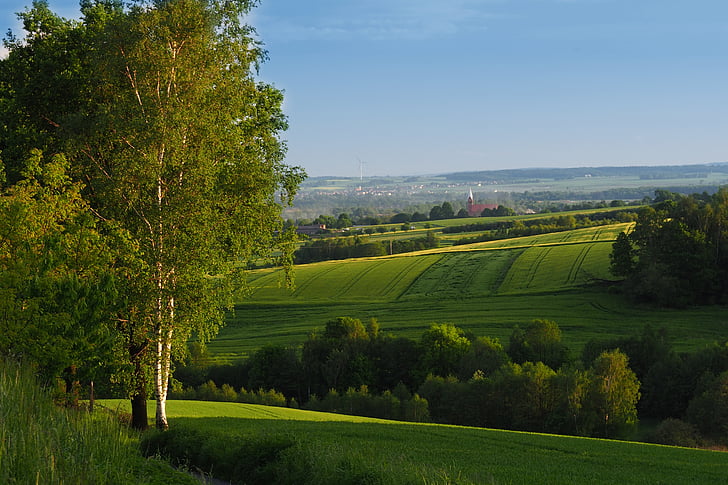 krajina, zelená, jaro, Příroda, strom, pole, lubomia