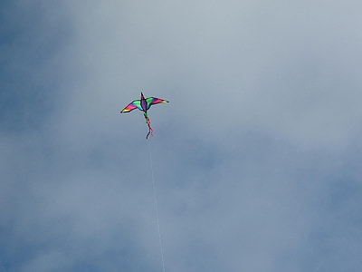 kite, sky, bird, toy, clouds, fly, flying