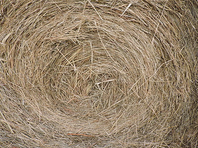 hay bale, farm, closeup, round, bale, feed, agriculture