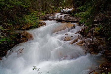 Râul, fluxul, apa, natura, Stream, în aer liber, umed