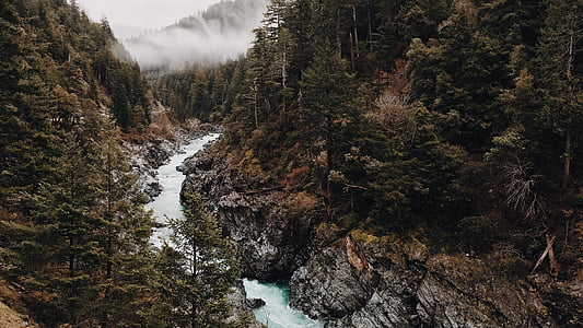 fog, forest, nature, river, trees, mountain, waterfall