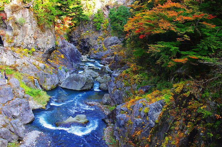 stream, gorge, japan, nature, water