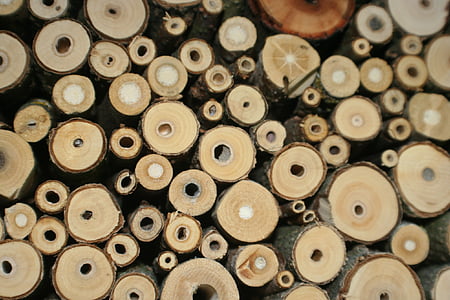 insect hotel, insect, breeding help, bee hotel, insect house, wild bees, nesting help