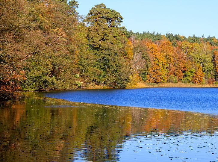 daba, gada laikā, rudens, koki, ezers