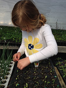 bērns, stādīšana, sēklas, sākuma augiem, siltumnīcefekta, augu pavairošana, bērnu, vienai personai