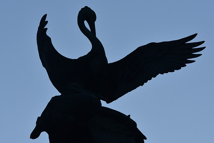 swan, image, statue, animal, wings