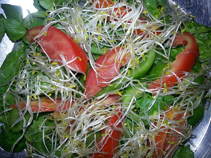 salade, Luzerne, tomaat, waterkers