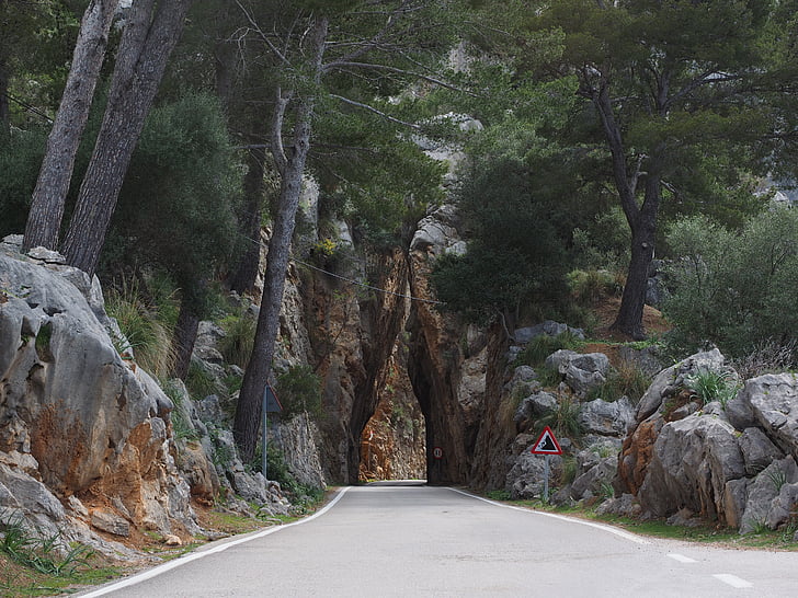 cesta, průlom, průchod, silnice, ma-2141, Mallorca, asfalt