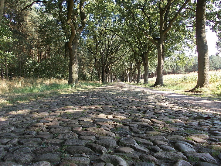 street yang bersejarah, batu bulat, lama, batu paving, jalan, Niedersachsen, secara historis