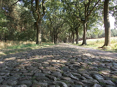 историческа улица, калдъръмени, стар, павета камъни, път, Долна Саксония, исторически