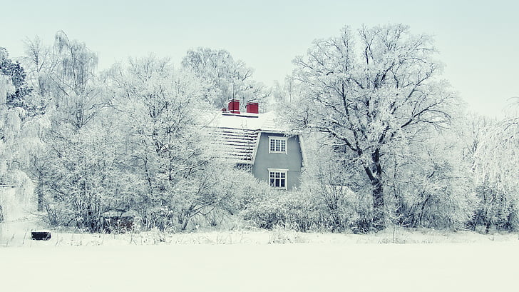 Финляндия, снег, Зима, лес, Природа, небо, Белый