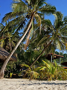 palmbomen, zand, Thailand, Bungalow, vakantie, Zuid-Oost Azië, eiland kochange