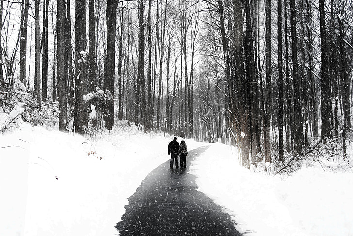 caminhando, casal, pessoas andando, neve, queda de neve, natureza, geada