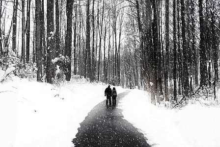 walking, couple, people walking, snow, snowfall, nature, frost