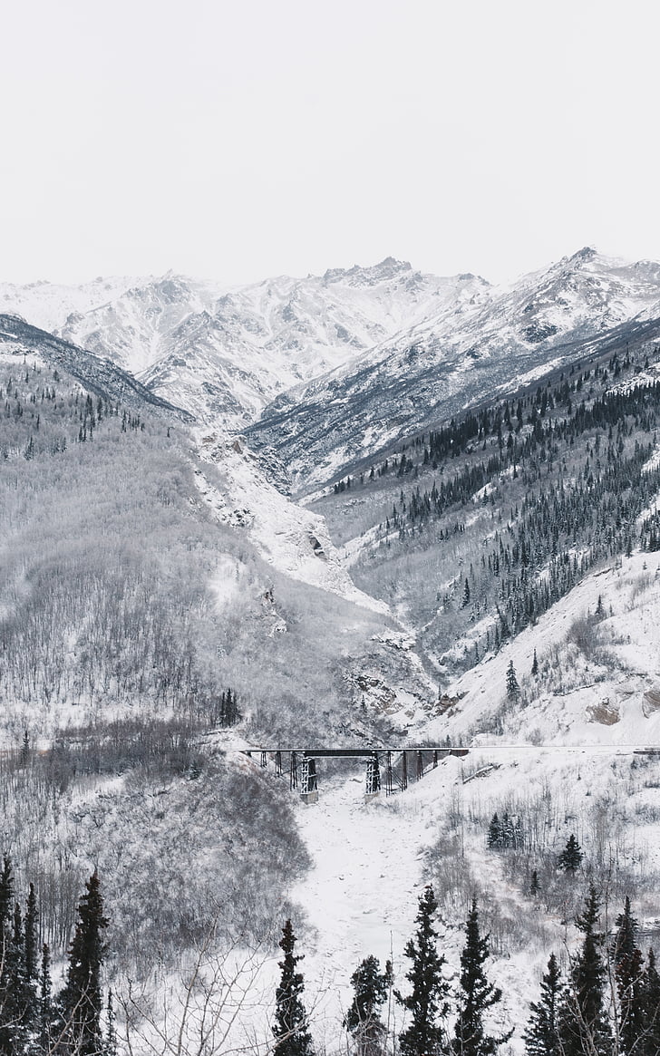 снимка, сняг, обхванати, планински, Черно, влак, мост
