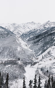 Foto, zăpadă, acoperite, munte, negru, tren, Podul
