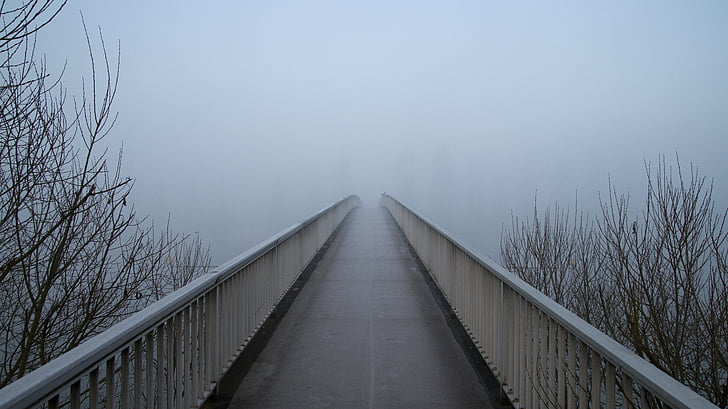 Bridge, dimma, webben, grå, Tom, ensam