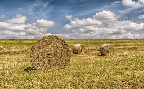 summer, harvest, straw, field, stubble, straw bales, agriculture