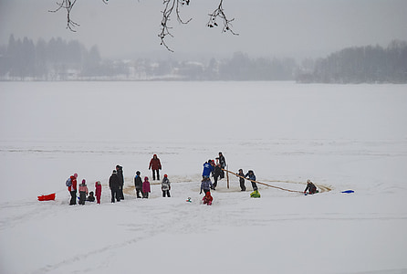 arctic sled, winter, lake, ice, group, fog