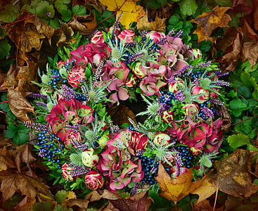 autunno, Corona, disposizione, decorazione, Corona floreale, decorazione di autunno, rosa